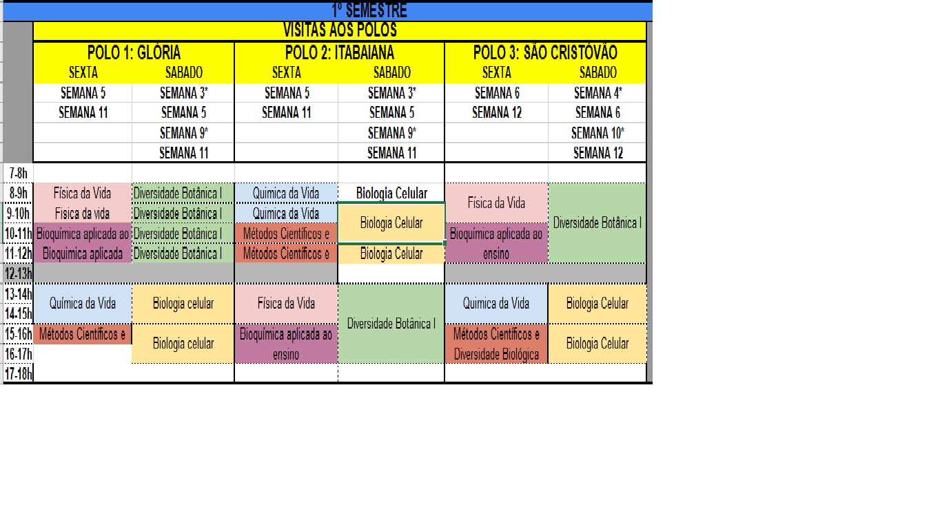 Visitas aos polos, programação do semestre 1